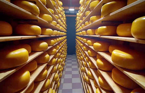 Производство сыра