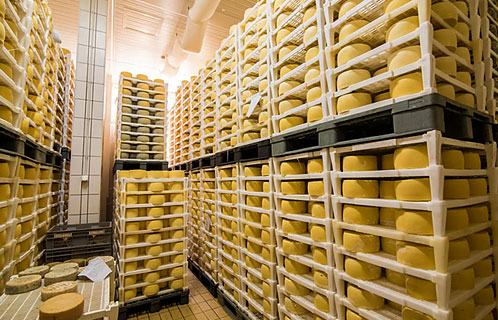Производство сыра
